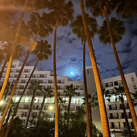 Vina Del Mar Daire Playa Feñabe Dış mekan fotoğraf