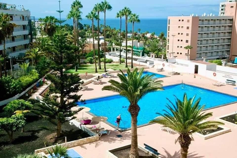 Vina Del Mar Daire Playa Feñabe Dış mekan fotoğraf