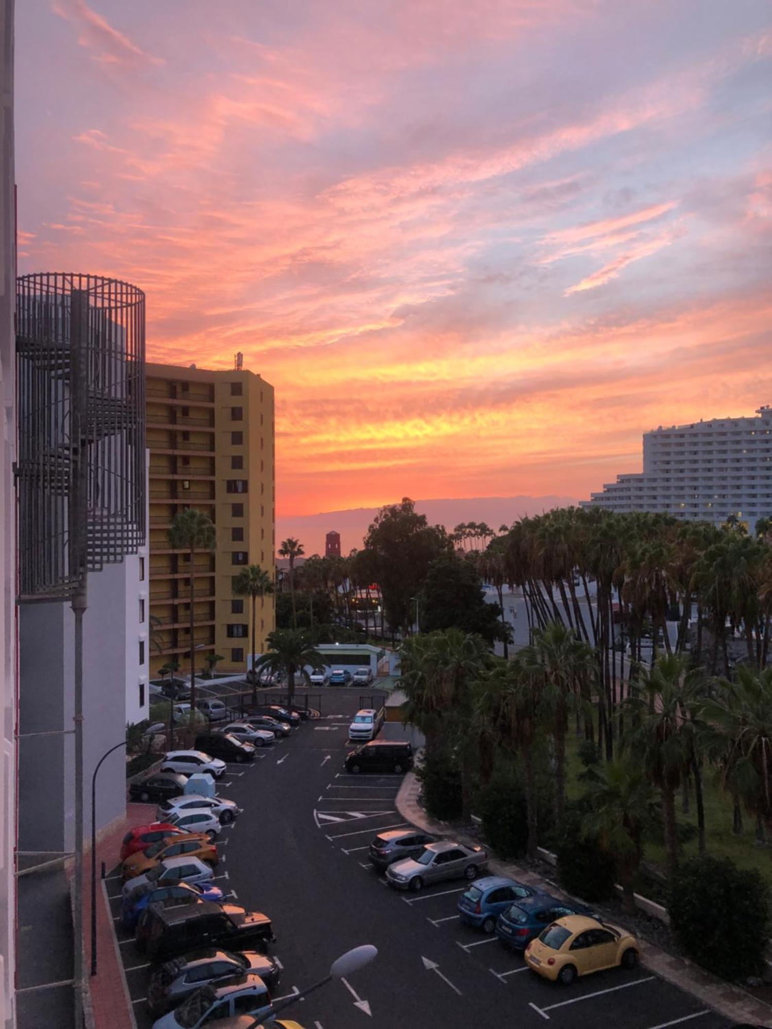 Vina Del Mar Daire Playa Feñabe Dış mekan fotoğraf