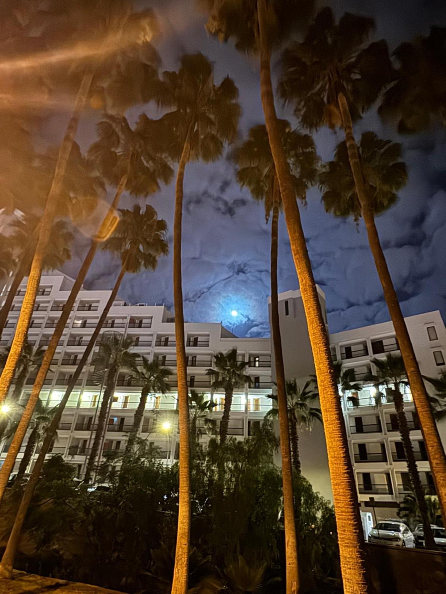 Vina Del Mar Daire Playa Feñabe Dış mekan fotoğraf